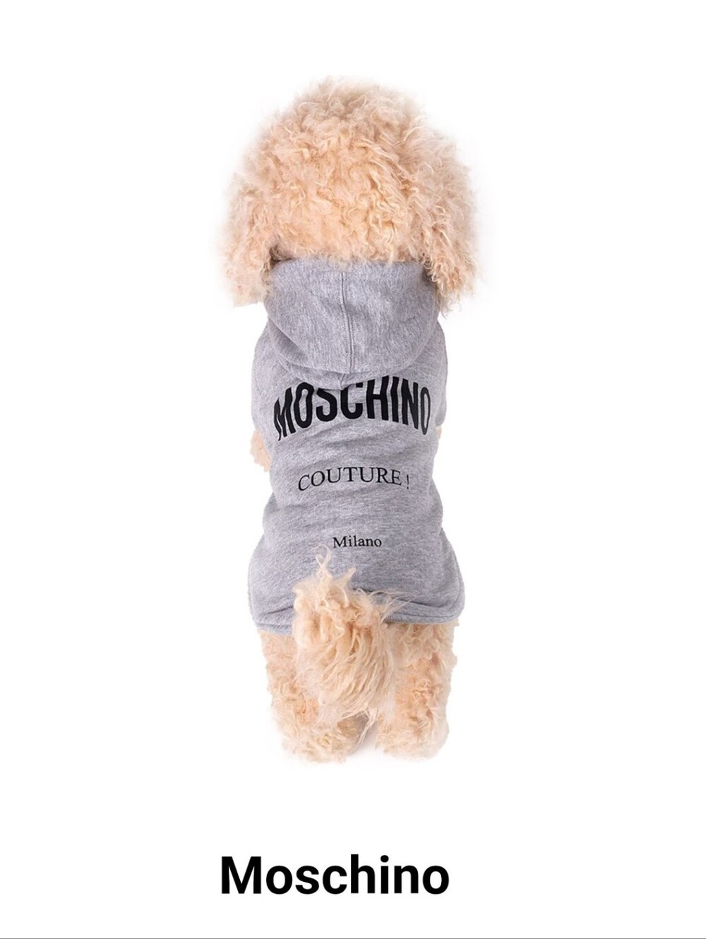 New Moschino Grey Dog Hoodie